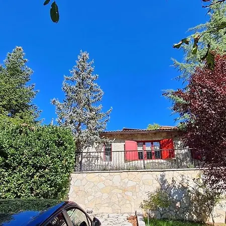 Irene's House