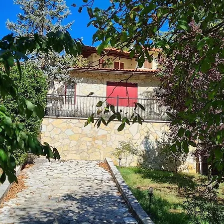 Irene's House